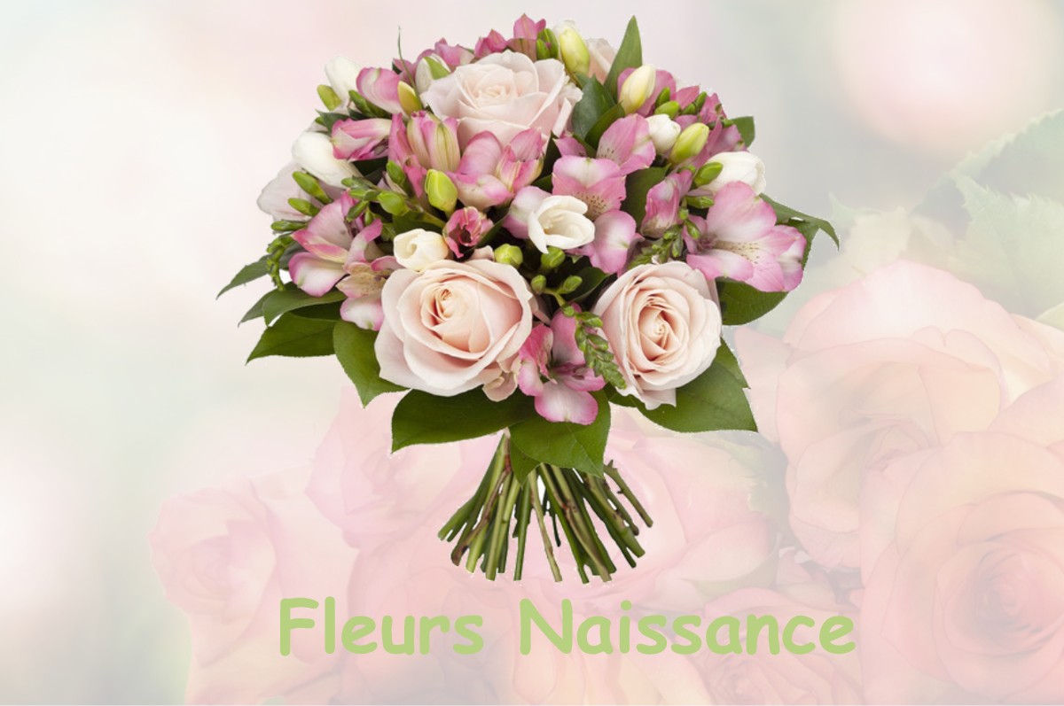 fleurs naissance DOMREMY-LA-CANNE