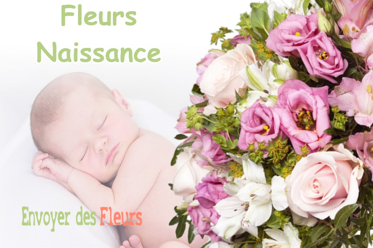 lIVRAISON FLEURS NAISSANCE à DOMREMY-LA-CANNE